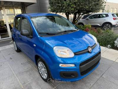 Fiat Panda Panda 1.0 FireFly S&S Hybrid Icon *PROMO AZZURRA* Blu/Azzurro usata Suzzara