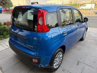 Fiat Panda Panda 1.0 FireFly S&S Hybrid Icon *PROMO AZZURRA* Blu/Azzurro usata Suzzara