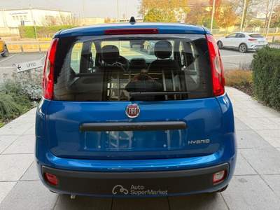 Fiat Panda Panda 1.0 FireFly S&S Hybrid Icon *PROMO AZZURRA* Blu/Azzurro usata Suzzara