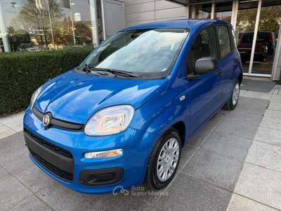 Fiat Panda Panda 1.0 FireFly S&S Hybrid Icon *PROMO AZZURRA* Blu/Azzurro usata Suzzara