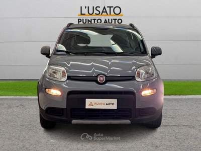 Fiat Panda 1.0 FireFly S&S Hybrid City Life Grigio usata Ancona