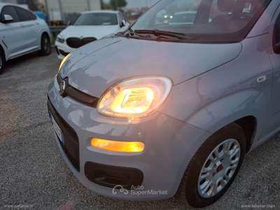 Fiat Panda Panda 1.0 FireFly S&S Hybrid Grigio usata RIMINI