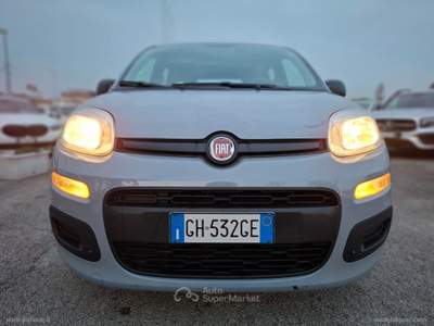 Fiat Panda Panda 1.0 FireFly S&S Hybrid Grigio usata RIMINI