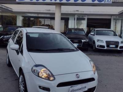 Fiat Punto 1.2 8V 5p. Street Bianco usata Modica