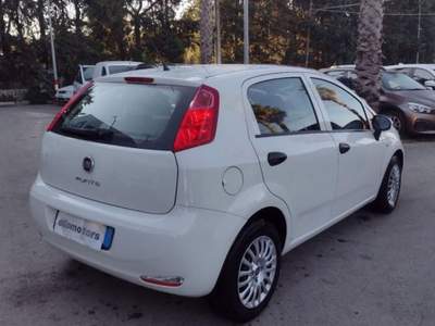 Fiat Punto 1.2 8V 5p. Street Bianco usata Modica