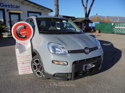 Fiat Panda 1.0 FireFly S&S Hybrid City Life Grigio usata Guidonia Montecelio