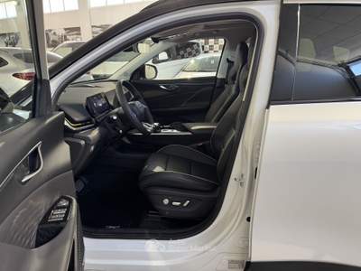 Tiger Six Six 1.5 T DI GPL 7DCT Bianco usata Cesena