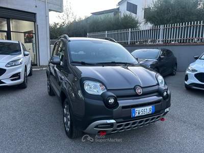 Fiat Panda panda 4x4gpl Grigio usata Castrovillari