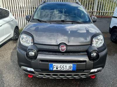 Fiat Panda panda 4x4gpl Grigio usata Castrovillari