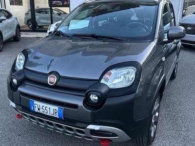 Fiat Panda panda 4x4gpl Grigio usata Castrovillari