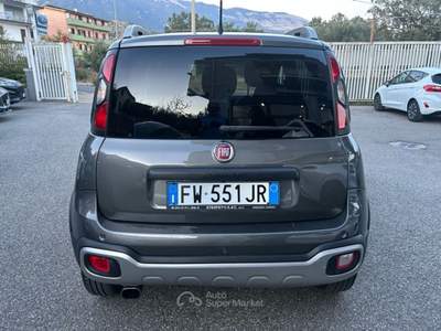 Fiat Panda panda 4x4gpl Grigio usata Castrovillari