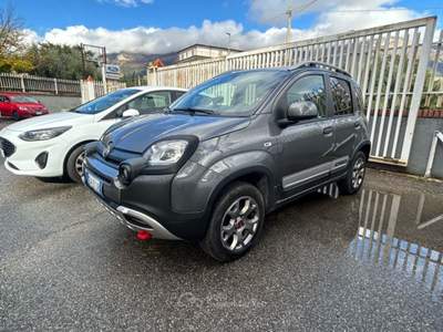 Fiat Panda panda 4x4gpl Grigio usata Castrovillari