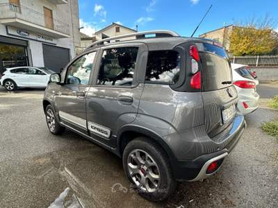 Fiat Panda panda 4x4gpl Grigio usata Castrovillari