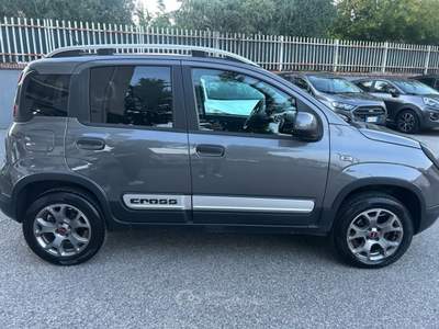 Fiat Panda panda 4x4gpl Grigio usata Castrovillari