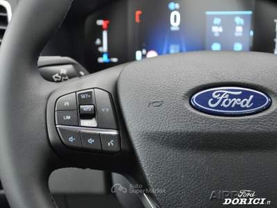 Ford Transit Transit 350 2.0 EcoBl. 130CV PL-SL Cass. Trend Scattolini Bianco usata Credaro