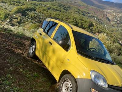Fiat Panda IN OTTIMO STATO usata Torrecuso