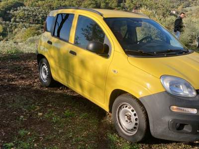 Fiat Panda IN OTTIMO STATO usata Torrecuso