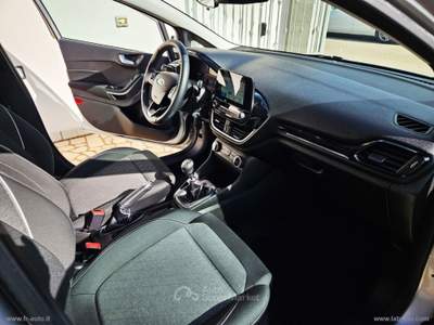Ford Fiesta Fiesta Active 1.5 TDCi Grigio usata Veglie
