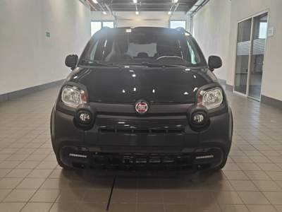 Fiat Panda Panda 1.0 FireFly S&S Hybrid Pandina - Km0** Verde usata Meda