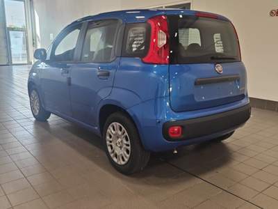 Fiat Panda Panda 1.0 FireFly S&S Hybrid Icon - Km0** Blu/Azzurro usata Meda