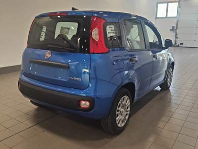 Fiat Panda Panda 1.0 FireFly S&S Hybrid Icon - Km0** Blu/Azzurro usata Meda
