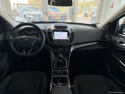 Ford Kuga Kuga 1.5 TDCI 120 CV S&S 2WD Business Grigio usata San Michele salentino