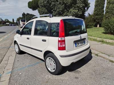 Fiat Panda uniproprietario, manutenzioni regolari, cinghia fatta Bianco usata FIRENZE