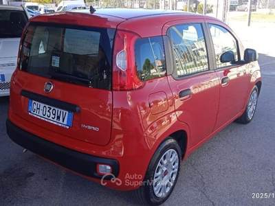 Fiat Panda 1.0 FireFly S&S Hybrid Rosso usata Cassino