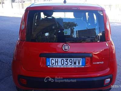 Fiat Panda 1.0 FireFly S&S Hybrid Rosso usata Cassino