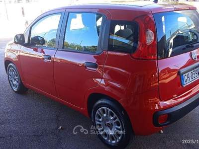 Fiat Panda 1.0 FireFly S&S Hybrid Rosso usata Cassino