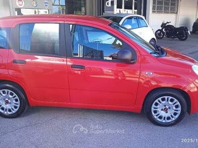 Fiat Panda 1.0 FireFly S&S Hybrid Rosso usata Cassino