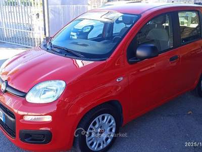 Fiat Panda 1.0 FireFly S&S Hybrid Rosso usata Cassino