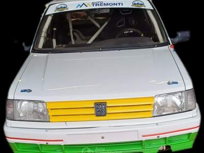 Peugeot 309 Gti 16v Gr.A J2 Bianco usata Padova