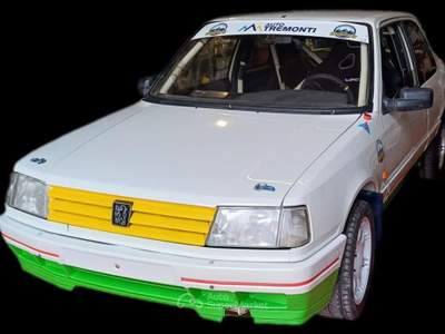 Peugeot 309 Gti 16v Gr.A J2 Bianco usata Padova