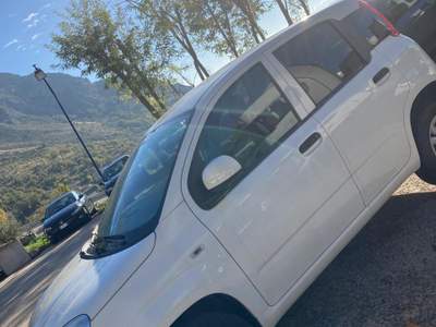 Fiat Panda IN OTTIMO STATO Bianco usata Torrecuso