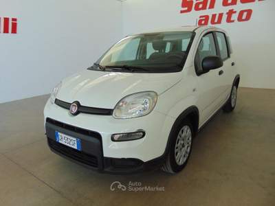 Fiat Panda 1.0 FireFly S&S Hybrid Bianco usata San Vito dei Normanni
