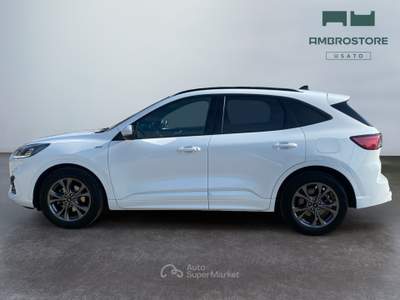 Ford Kuga  - kuga 2.0 ecoblue mhev st-line 2wd 150cv Bianco usata Segrate
