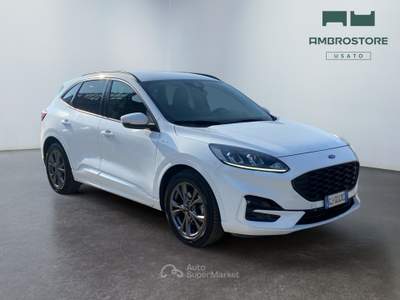 Ford Kuga  - kuga 2.0 ecoblue mhev st-line 2wd 150cv Bianco usata Segrate
