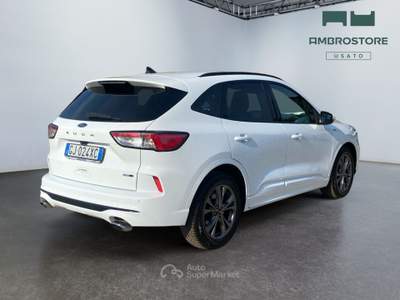 Ford Kuga  - kuga 2.0 ecoblue mhev st-line 2wd 150cv Bianco usata Segrate
