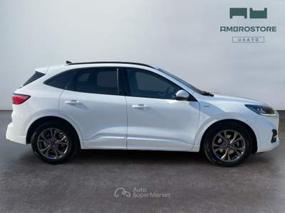 Ford Kuga  - kuga 2.0 ecoblue mhev st-line 2wd 150cv Bianco usata Segrate