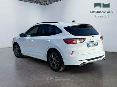 Ford Kuga  - kuga 2.0 ecoblue mhev st-line 2wd 150cv Bianco usata Segrate