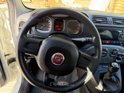 Fiat Panda NEOPATENTATI-Benzina/Metano Bianco usata Matera