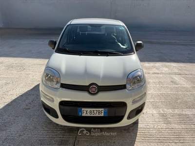 Fiat Panda NEOPATENTATI-Benzina/Metano Bianco usata Matera