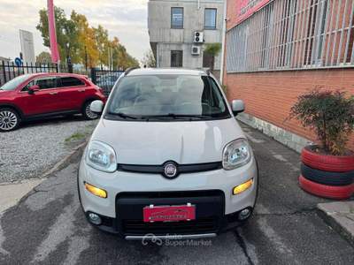 Fiat Panda 1.3 mjt 16v 4x4 75cv E5+ Beige usata Cernusco sul Naviglio