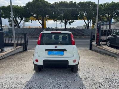 Fiat Panda 1.3 MJT 95 CV S&amp;S 4x4 Bianco usata Massa