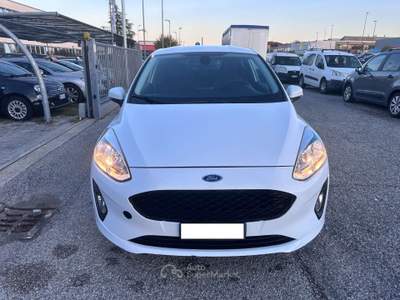 Ford Fiesta Van 1.5 TDCi 85 CV 3 porte Business Bianco usata Ozzano dell'Emilia