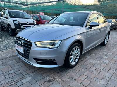 Audi A3 Audi A3 1.6 Diesel Euro 6 usata Buttigliera Alta