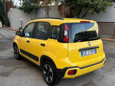 Fiat Panda 1.0 FireFly S&S Hybrid City Cross Giallo usata Afragola