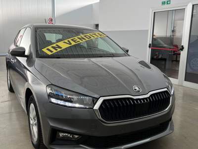 Skoda Fabia Skoda Fabia 1.0 MPI 80 CV Ambition Grigio usata Castelfranco Veneto