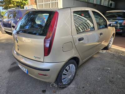 Fiat Punto Punto 5p 1.2 natural power Classic Active rate da 99,00 usata Faenza